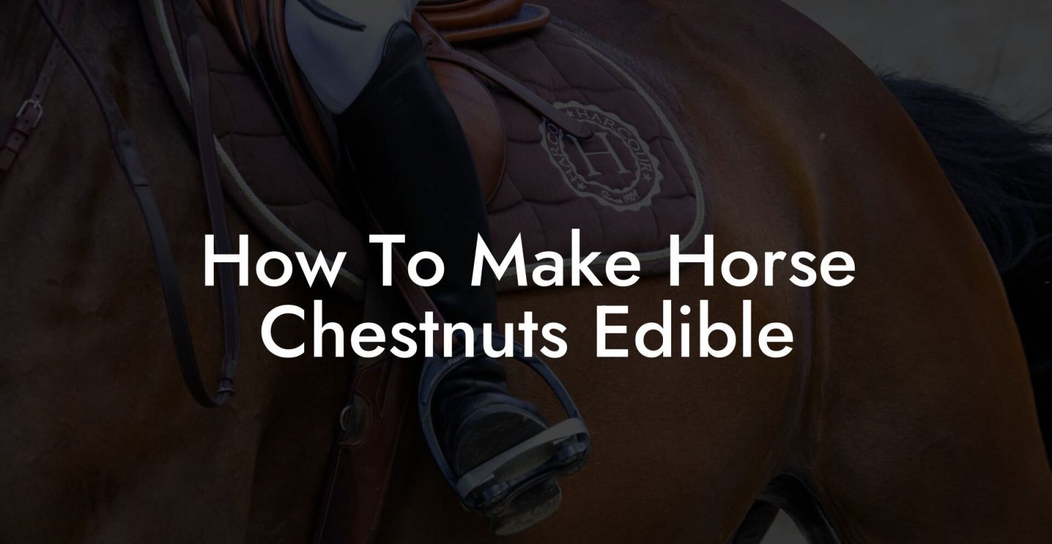 How To Make Horse Chestnuts Edible How To Own a Horse