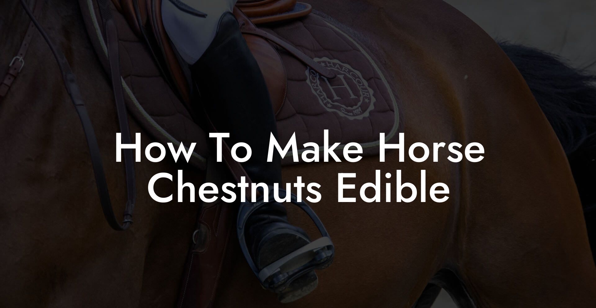How To Make Horse Chestnuts Edible