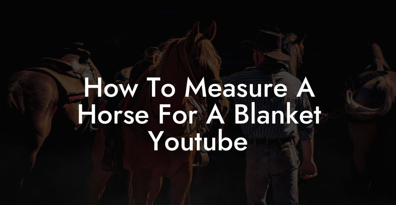 How To Measure A Horse For A Blanket Youtube