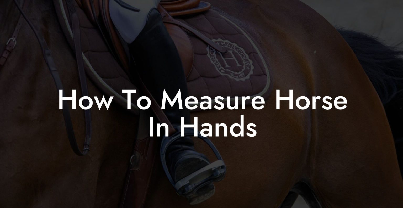 How To Measure Horse In Hands How To Own a Horse