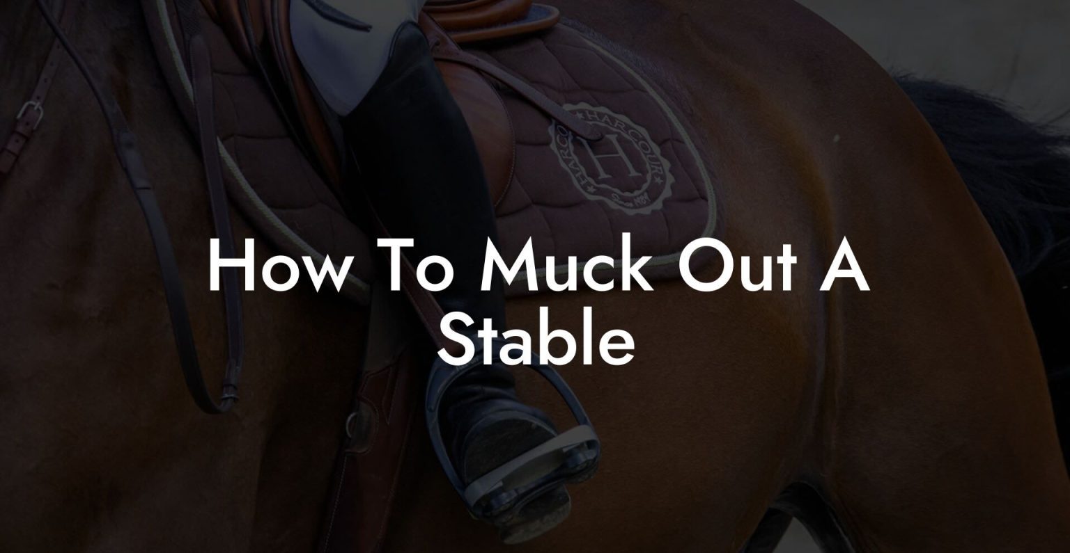 How To Muck Out A Stable How To Own a Horse