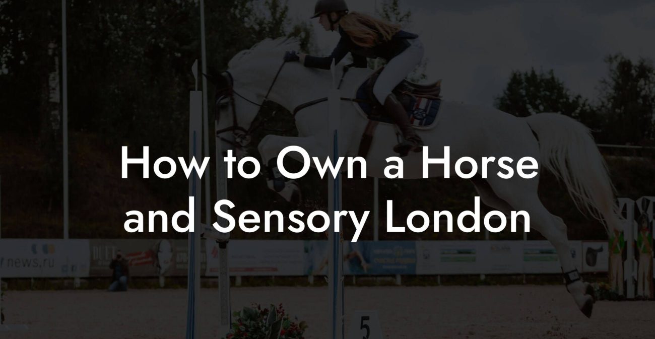 How to Own a Horse and Sensory London