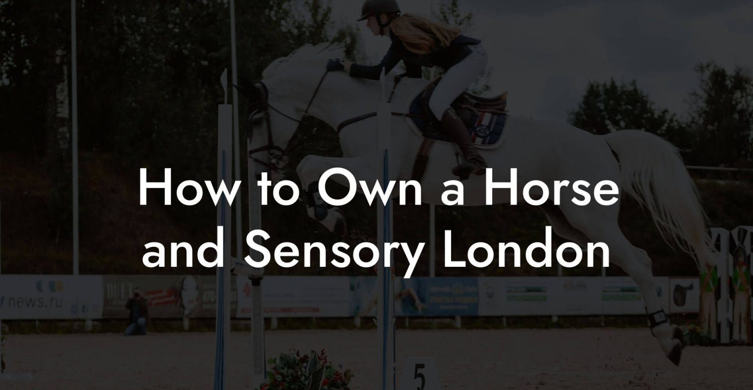 How to Own a Horse and Sensory London How To Own a Horse