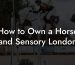 How to Own a Horse and Sensory London