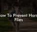 How To Prevent Horse Flies