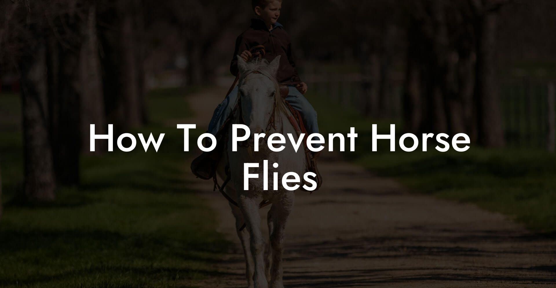 How To Prevent Horse Flies