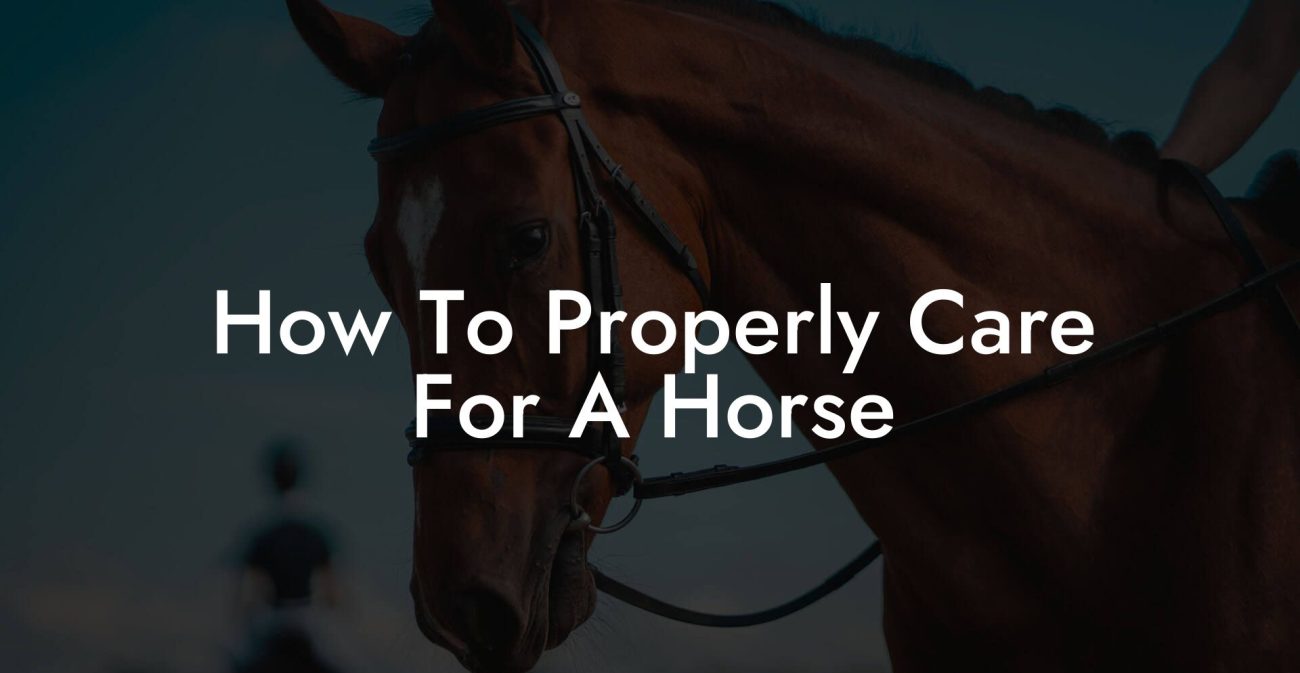 How To Properly Care For A Horse