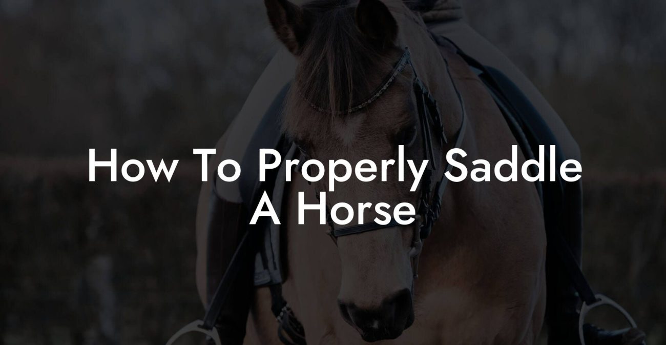 How To Properly Saddle A Horse