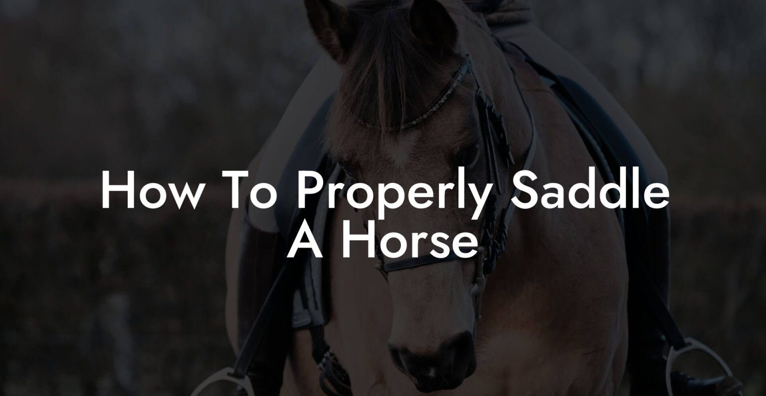 How to properly saddle a horse how to own a horse