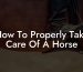 How To Properly Take Care Of A Horse