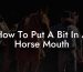 How To Put A Bit In A Horse Mouth