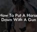 How To Put A Horse Down With A Gun