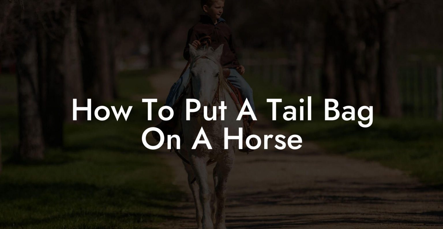 How To Put A Tail Bag On A Horse How To Own a Horse