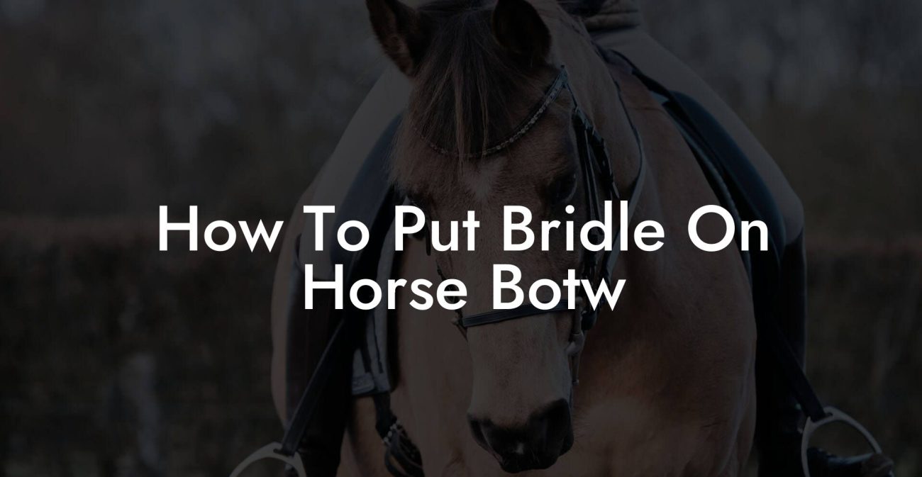 How To Put Bridle On Horse Botw