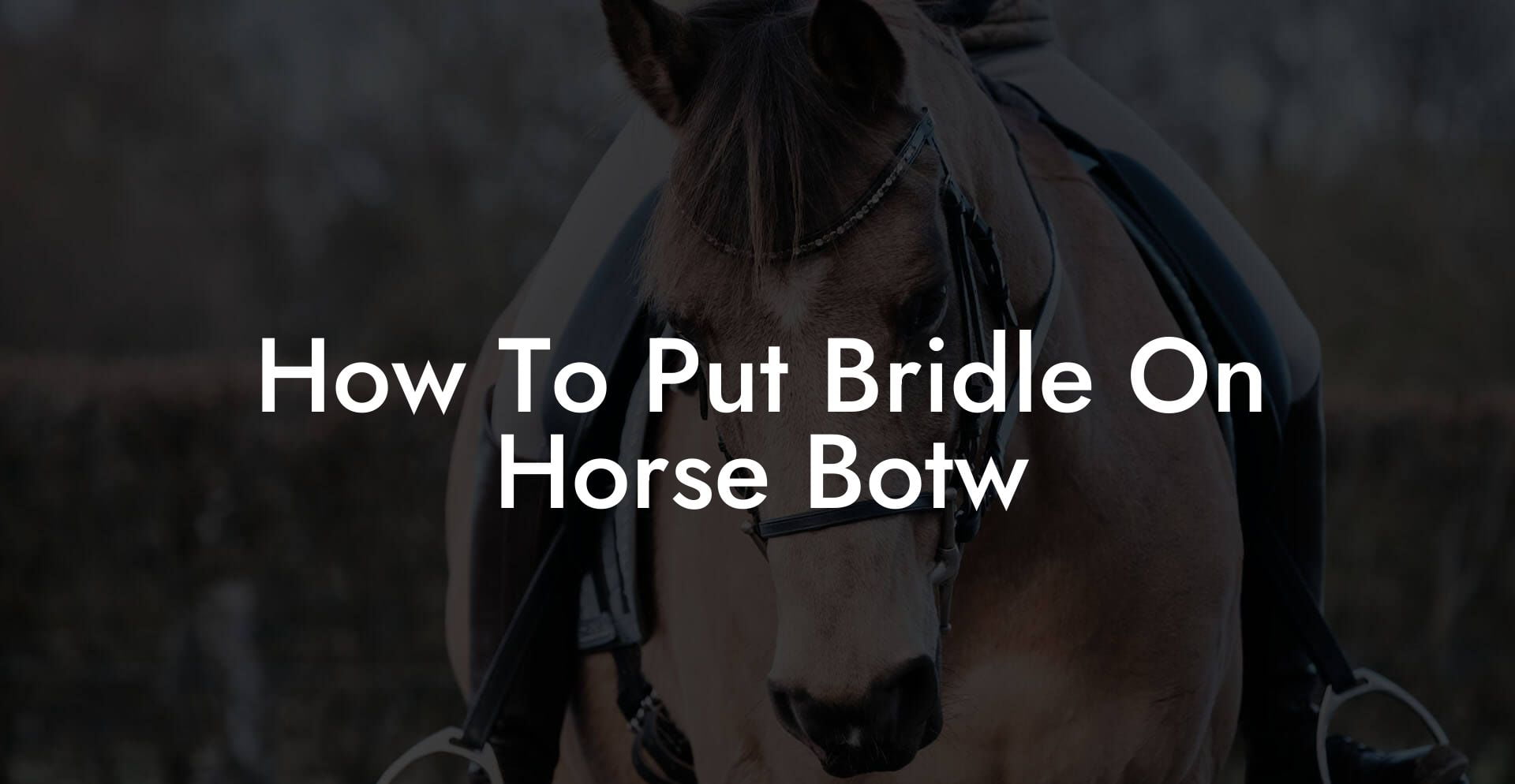 How To Put Bridle On Horse Botw