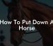 How To Put Down A Horse