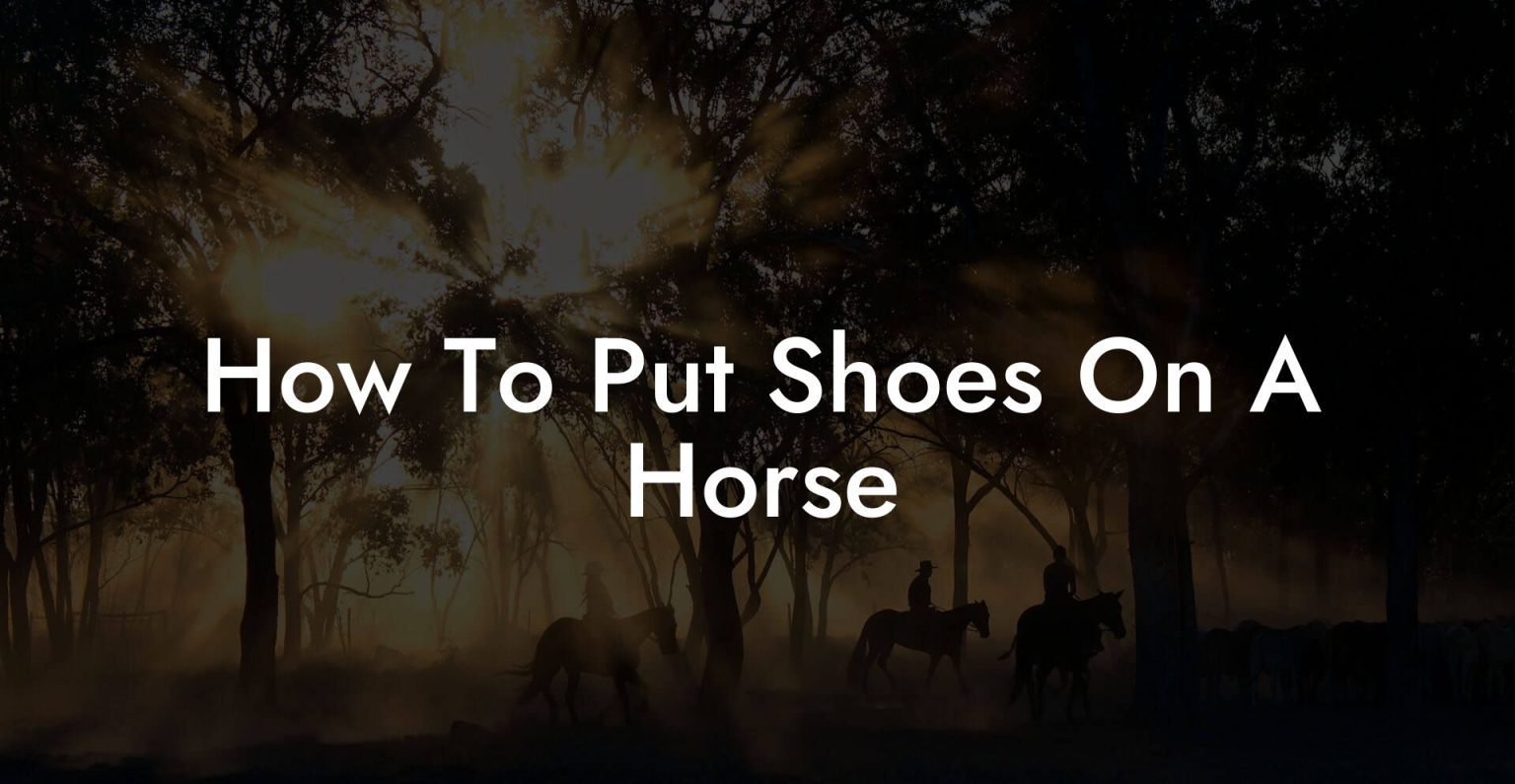 How To Put Shoes On A Horse How To Own a Horse