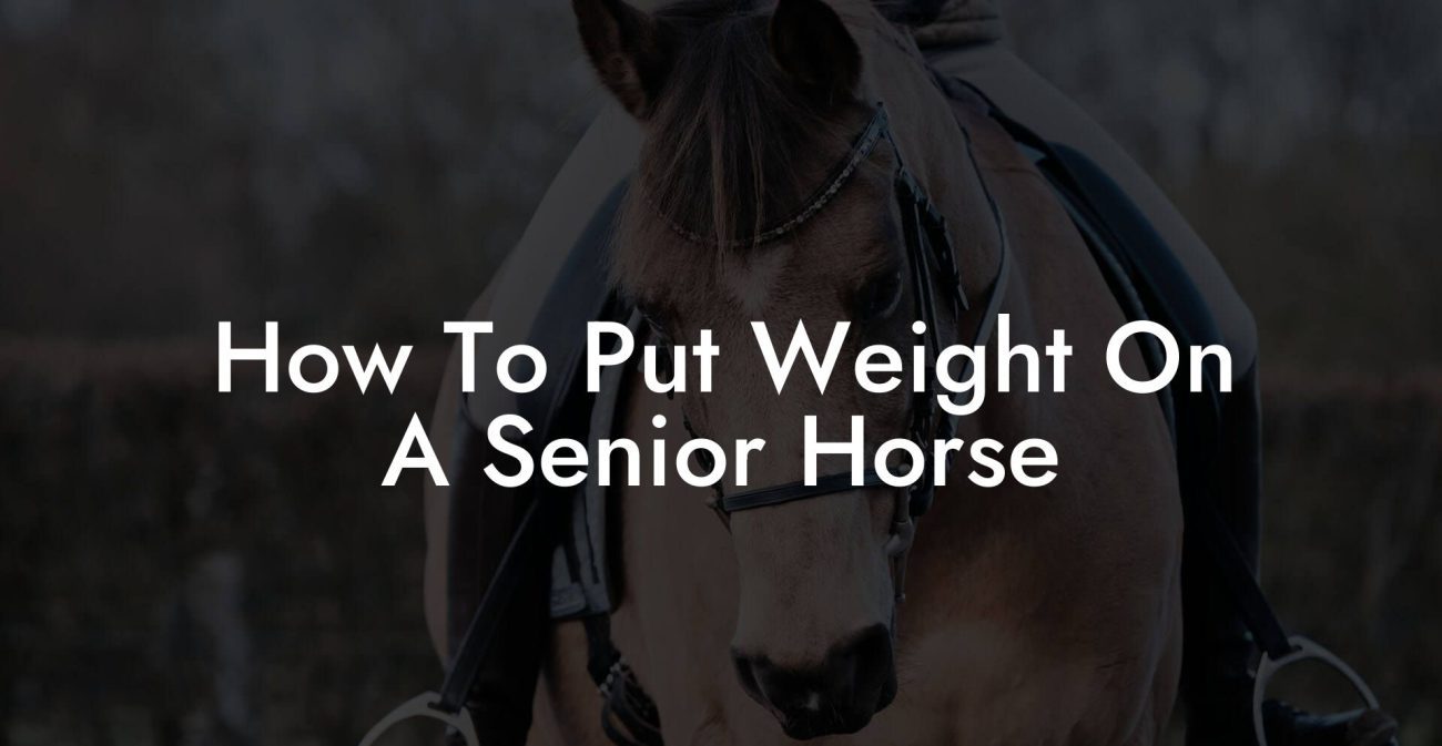 How To Put Weight On A Senior Horse