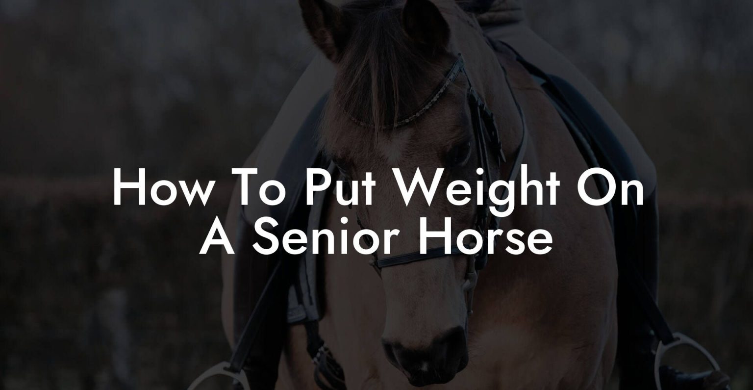 How To Put Weight On A Senior Horse How To Own a Horse