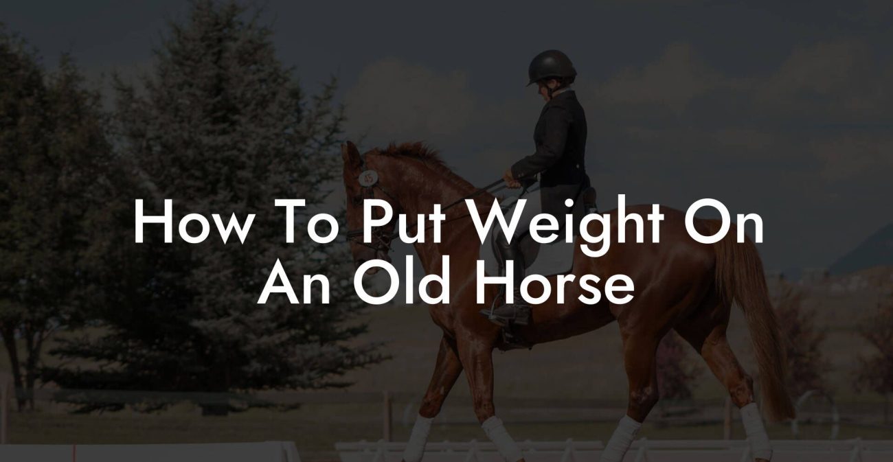 How To Put Weight On An Old Horse