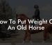 How To Put Weight On An Old Horse