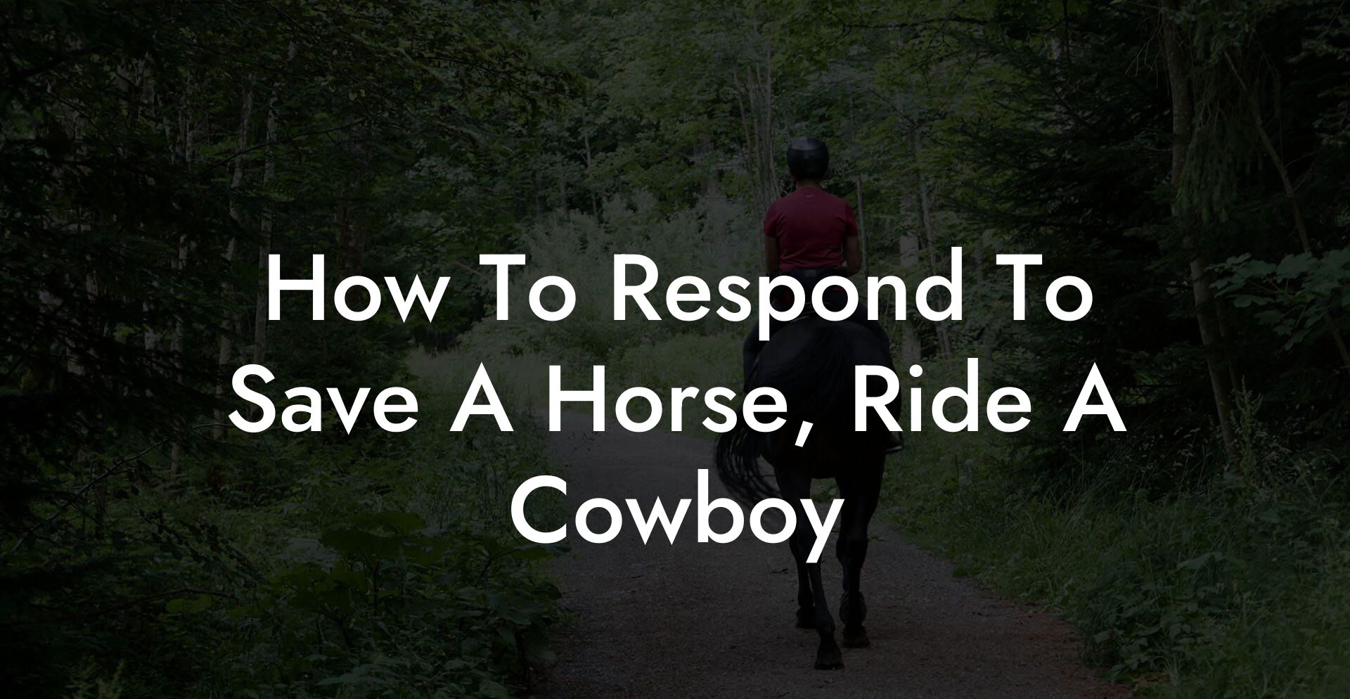 How To Respond To Save A Horse, Ride A Cowboy
