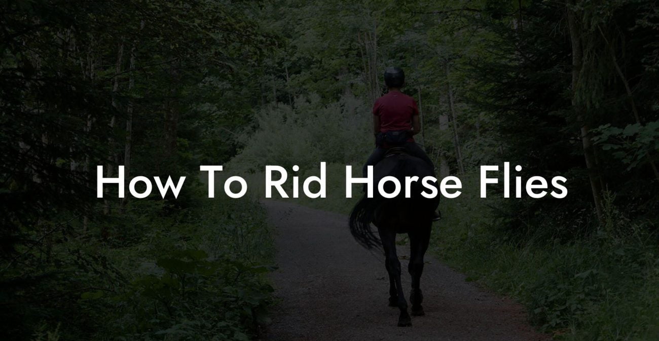 How To Rid Horse Flies