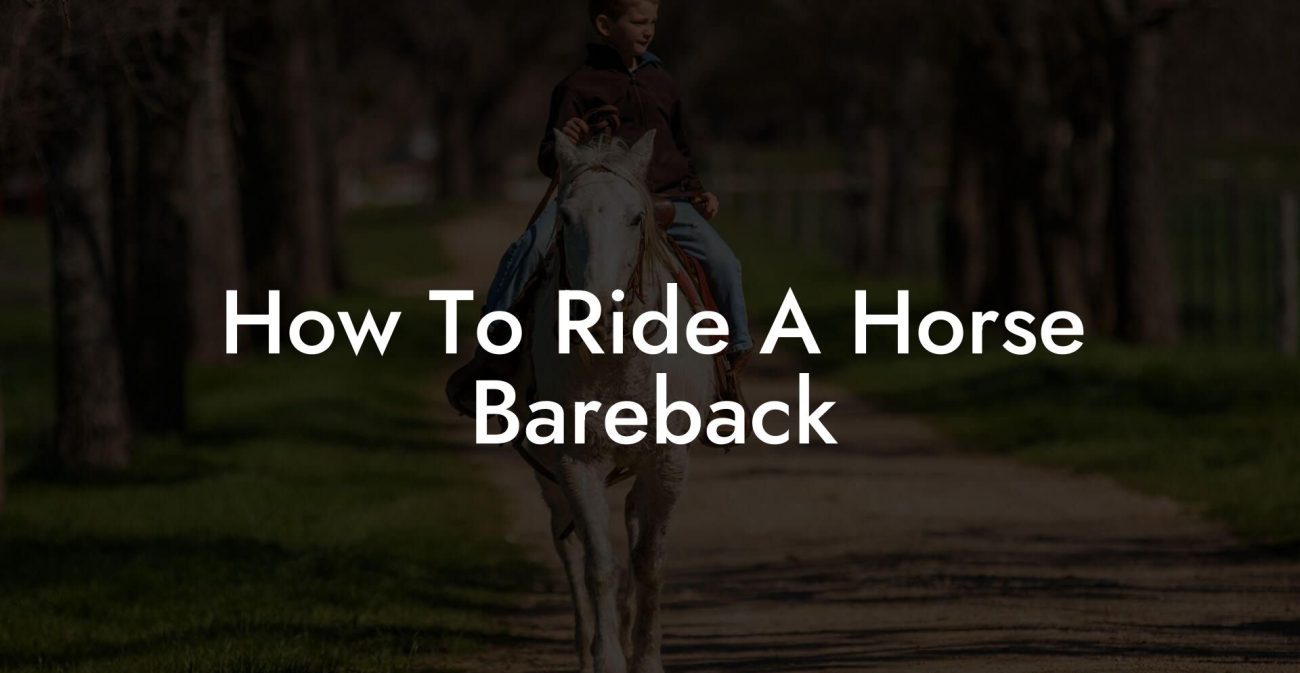 How To Ride A Horse Bareback