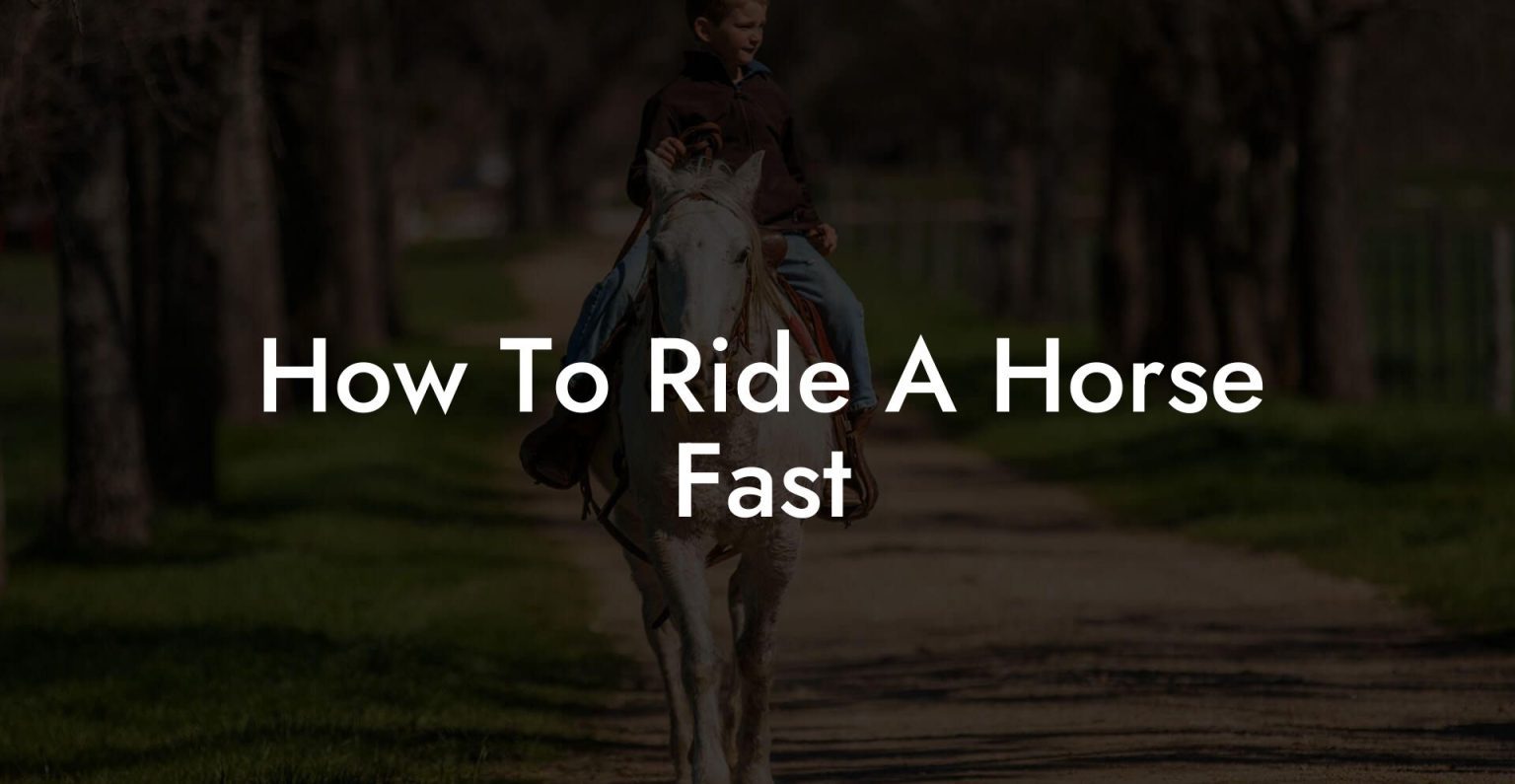 How To Ride A Horse Fast How To Own a Horse