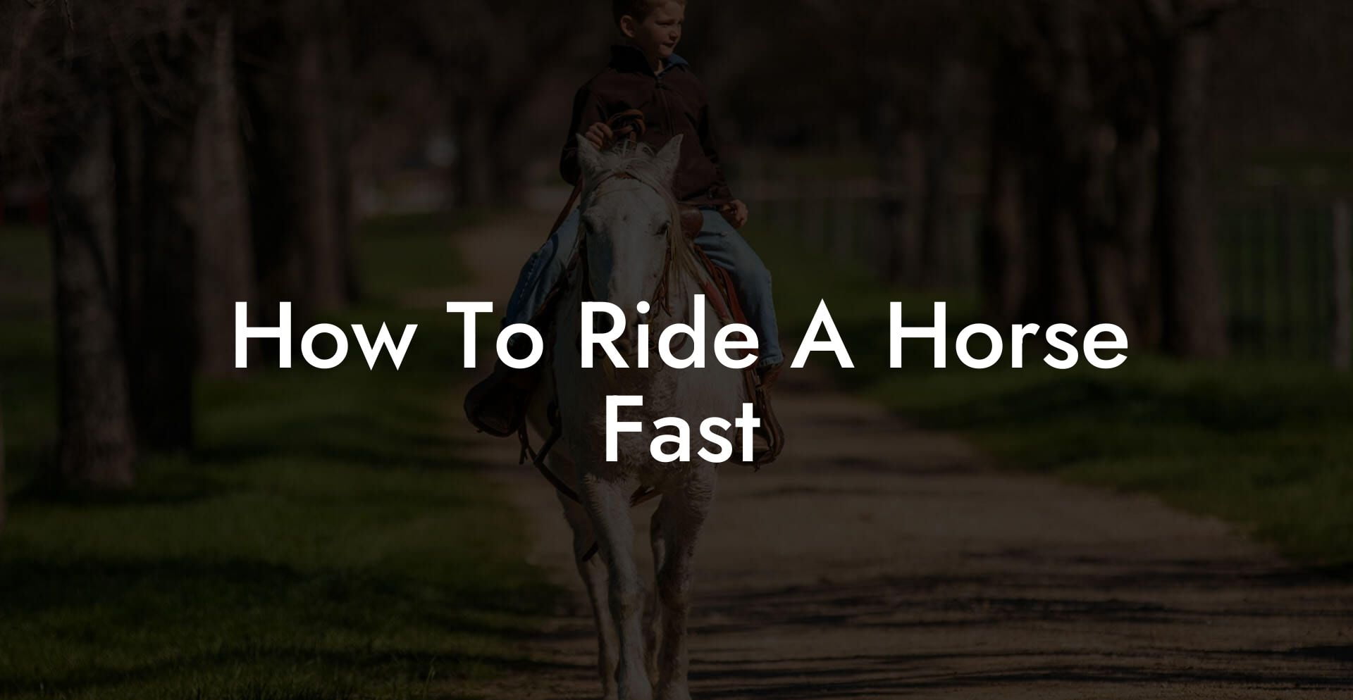 How To Ride A Horse Fast