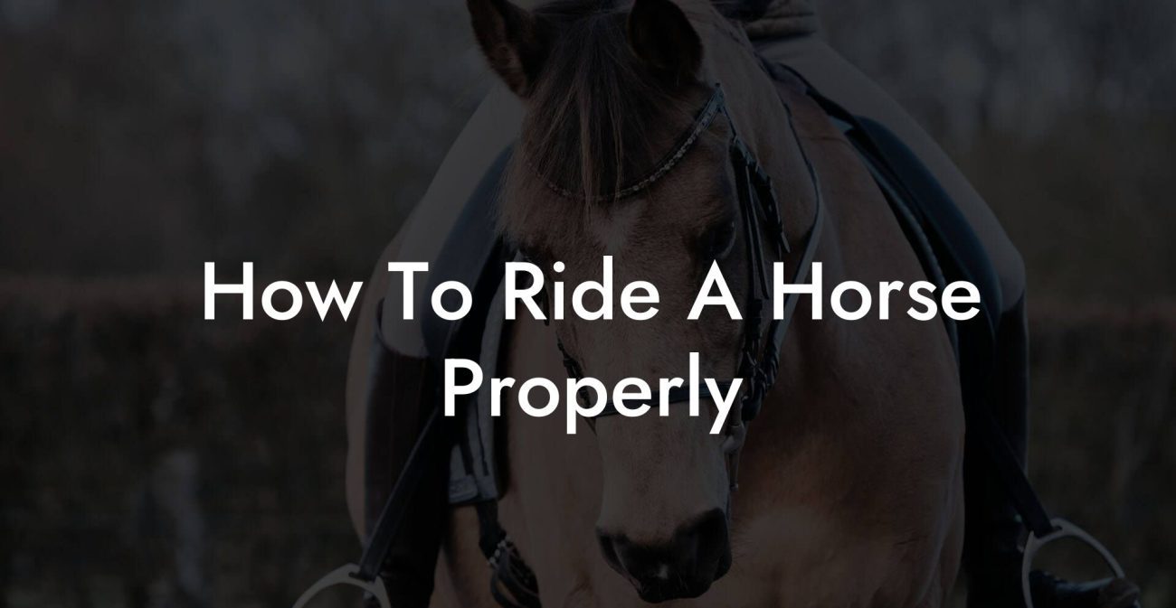 How To Ride A Horse Properly