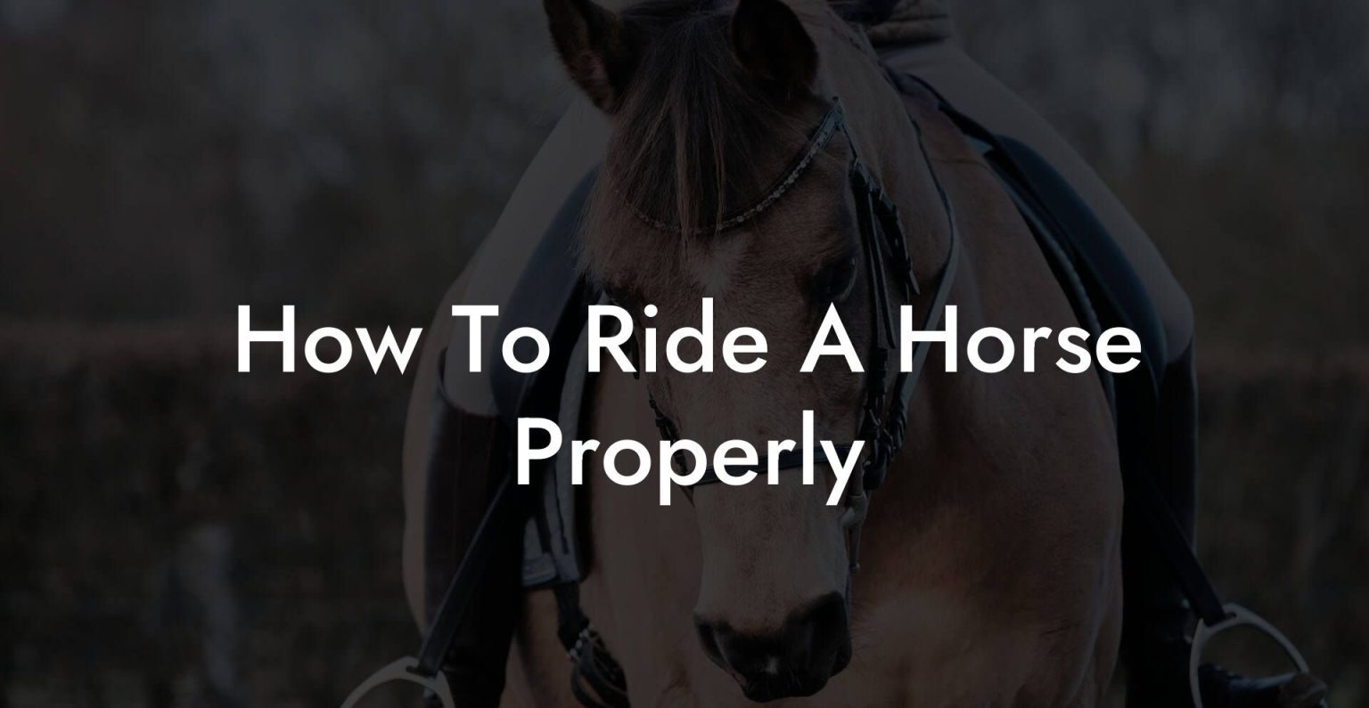 How To Ride A Horse Properly How To Own a Horse