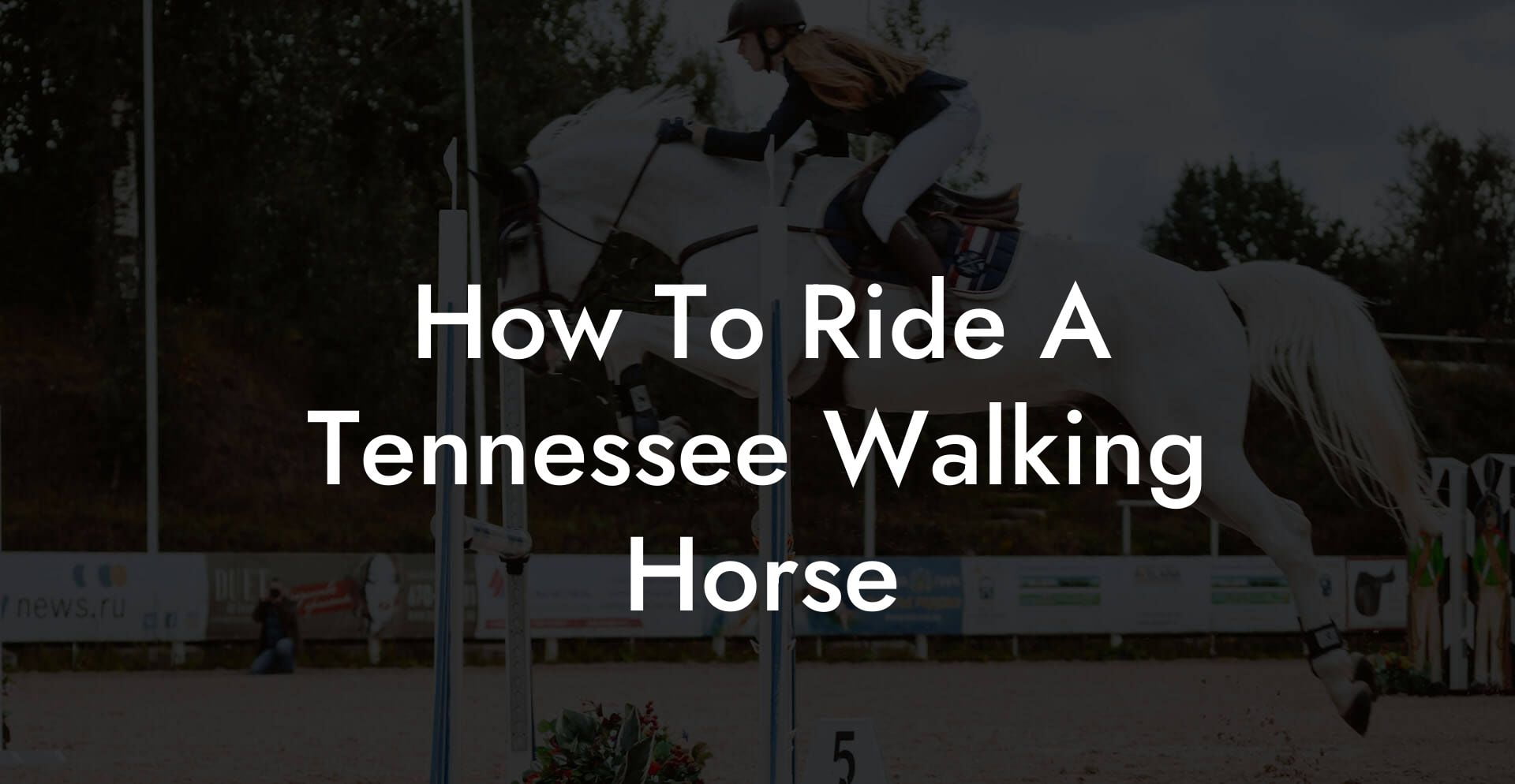 How To Ride A Tennessee Walking Horse