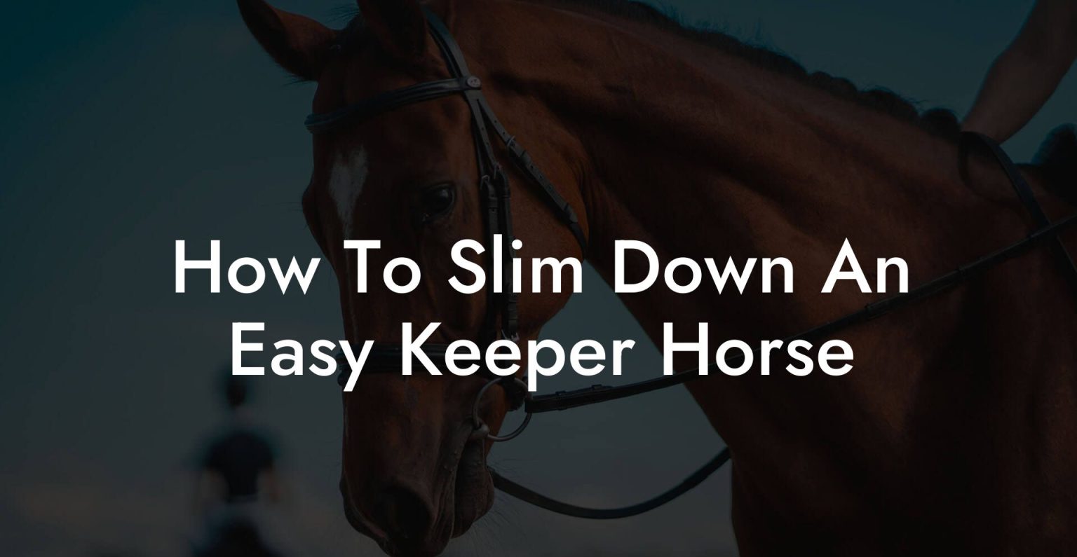 How To Slim Down An Easy Keeper Horse How To Own a Horse