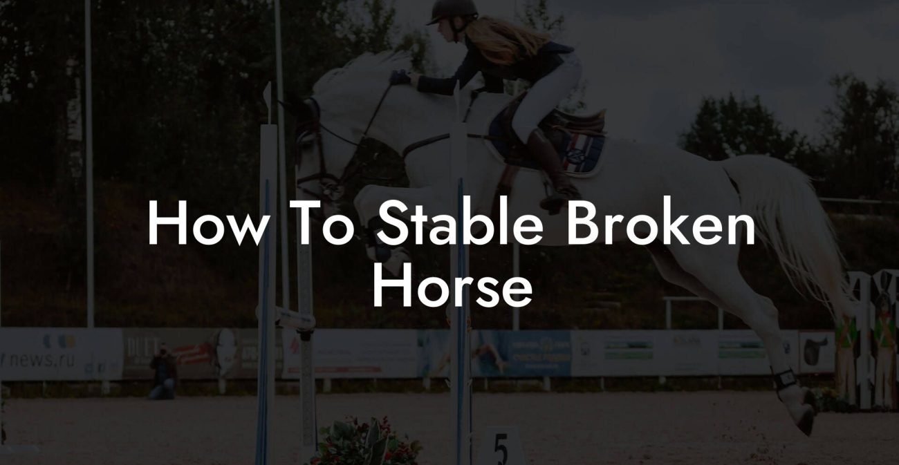 How To Stable Broken Horse