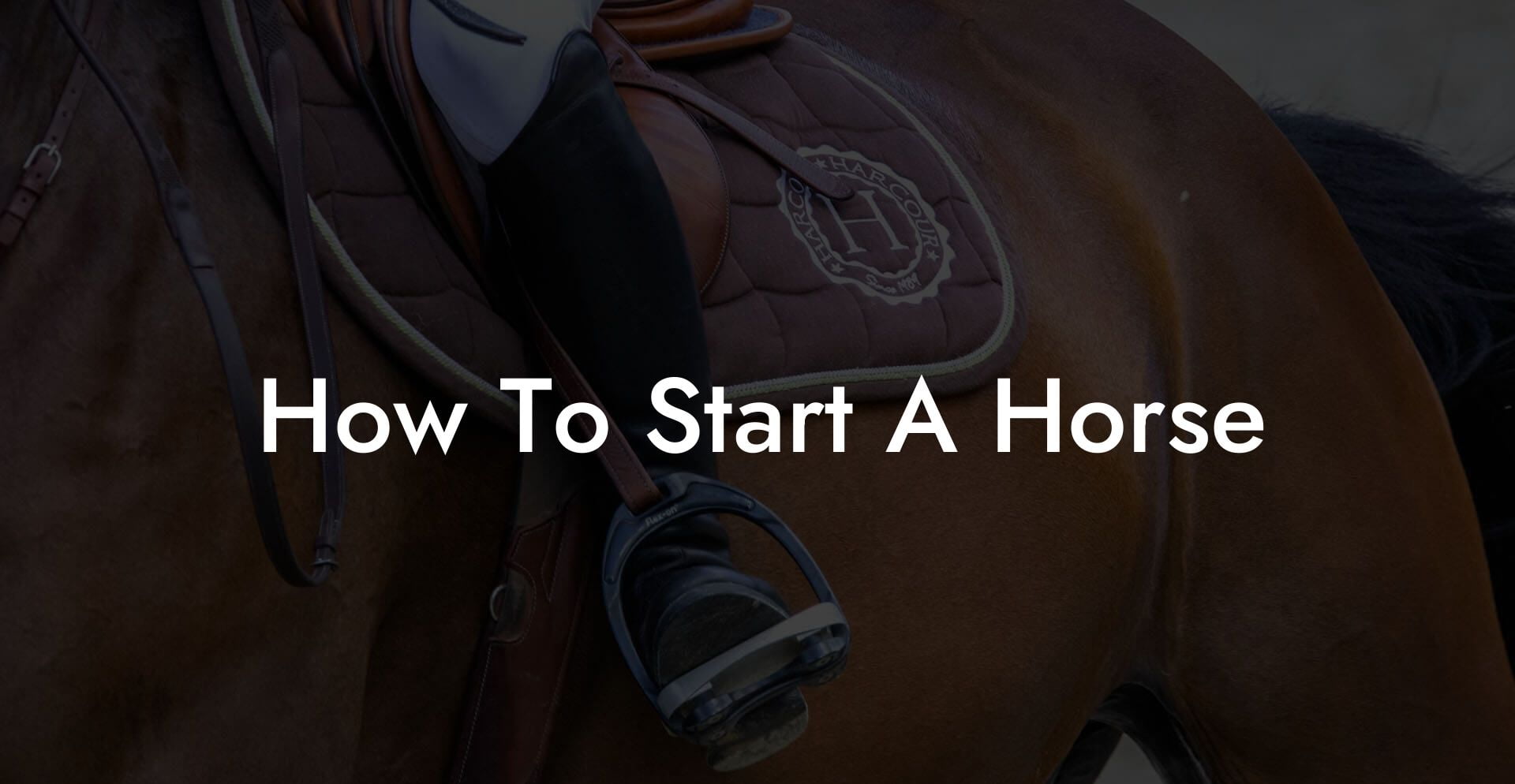 How To Start A Horse