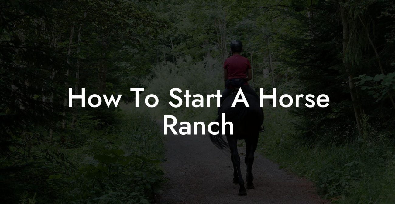 How To Start A Horse Ranch