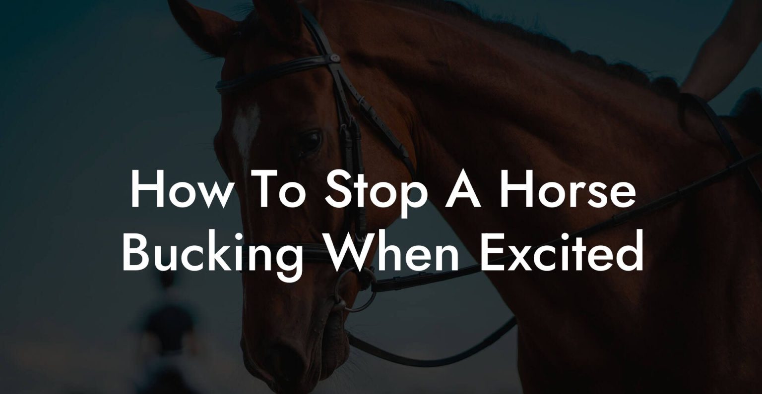 How To Stop A Horse Bucking When Excited How To Own a Horse