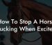 How To Stop A Horse Bucking When Excited
