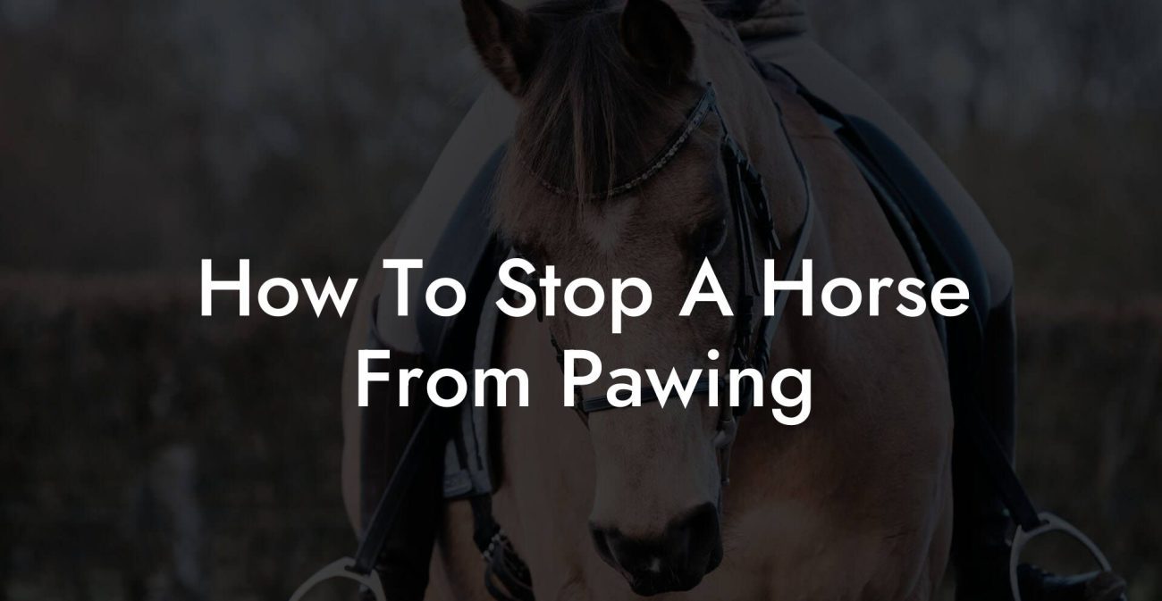 How To Stop A Horse From Pawing