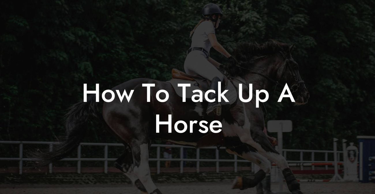 How To Tack Up A Horse