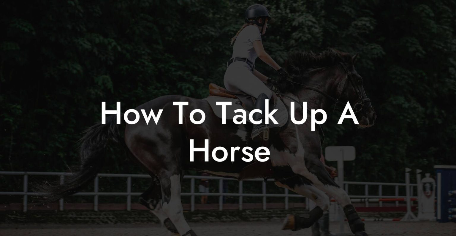 How To Tack Up A Horse How To Own a Horse