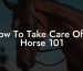 How To Take Care Of A Horse 101