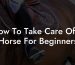 How To Take Care Of A Horse For Beginners
