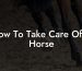 How To Take Care Of A Horse