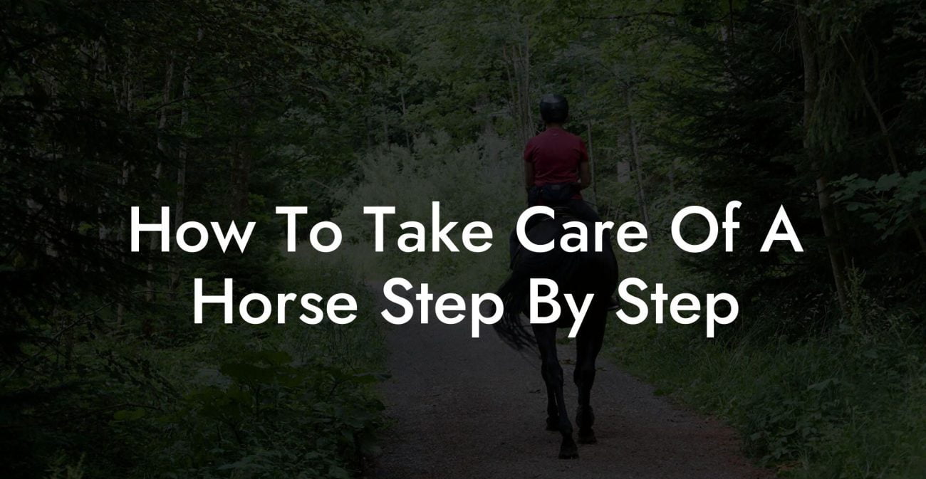 How To Take Care Of A Horse Step By Step