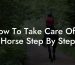 How To Take Care Of A Horse Step By Step