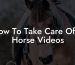 How To Take Care Of A Horse Videos