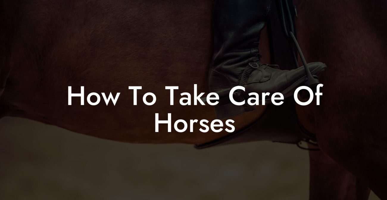 How To Take Care Of Horses