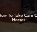 How To Take Care Of Horses